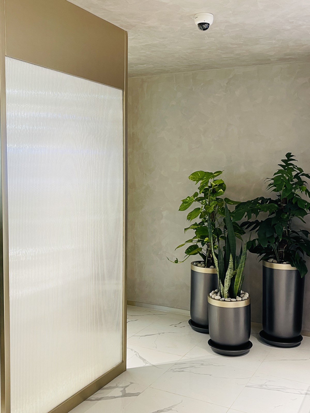 Time Zone interior 7